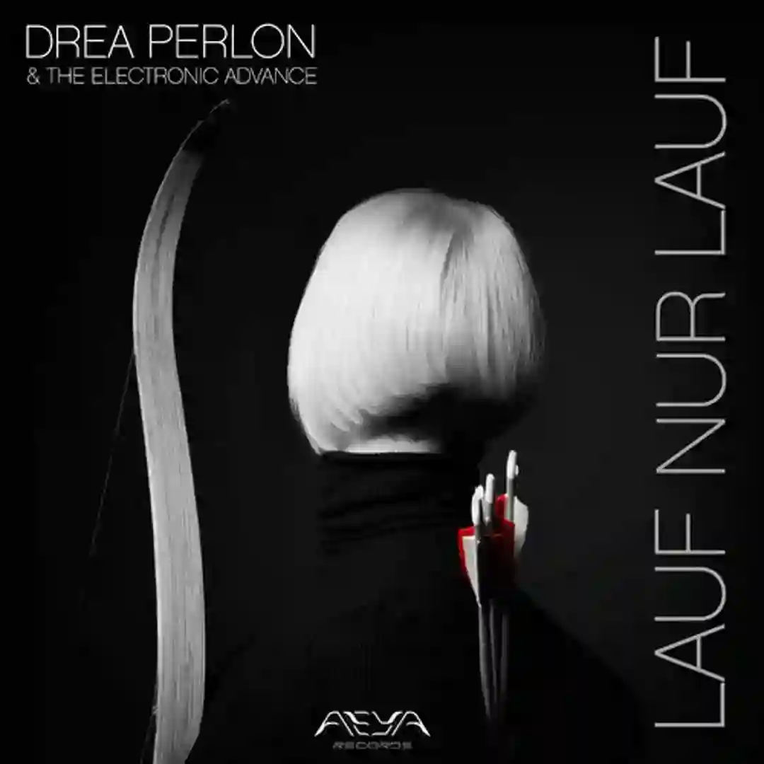 Lauf nur lauf cover