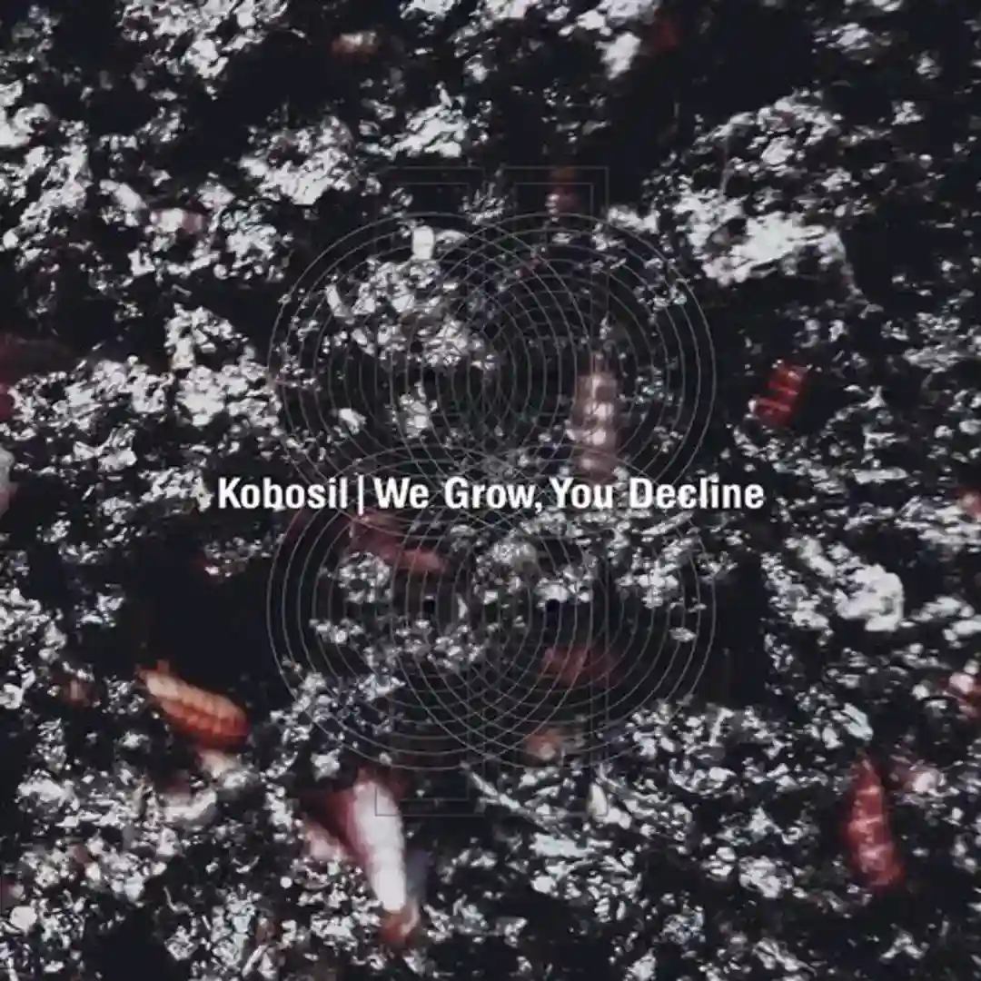We Grow, You Decline cover