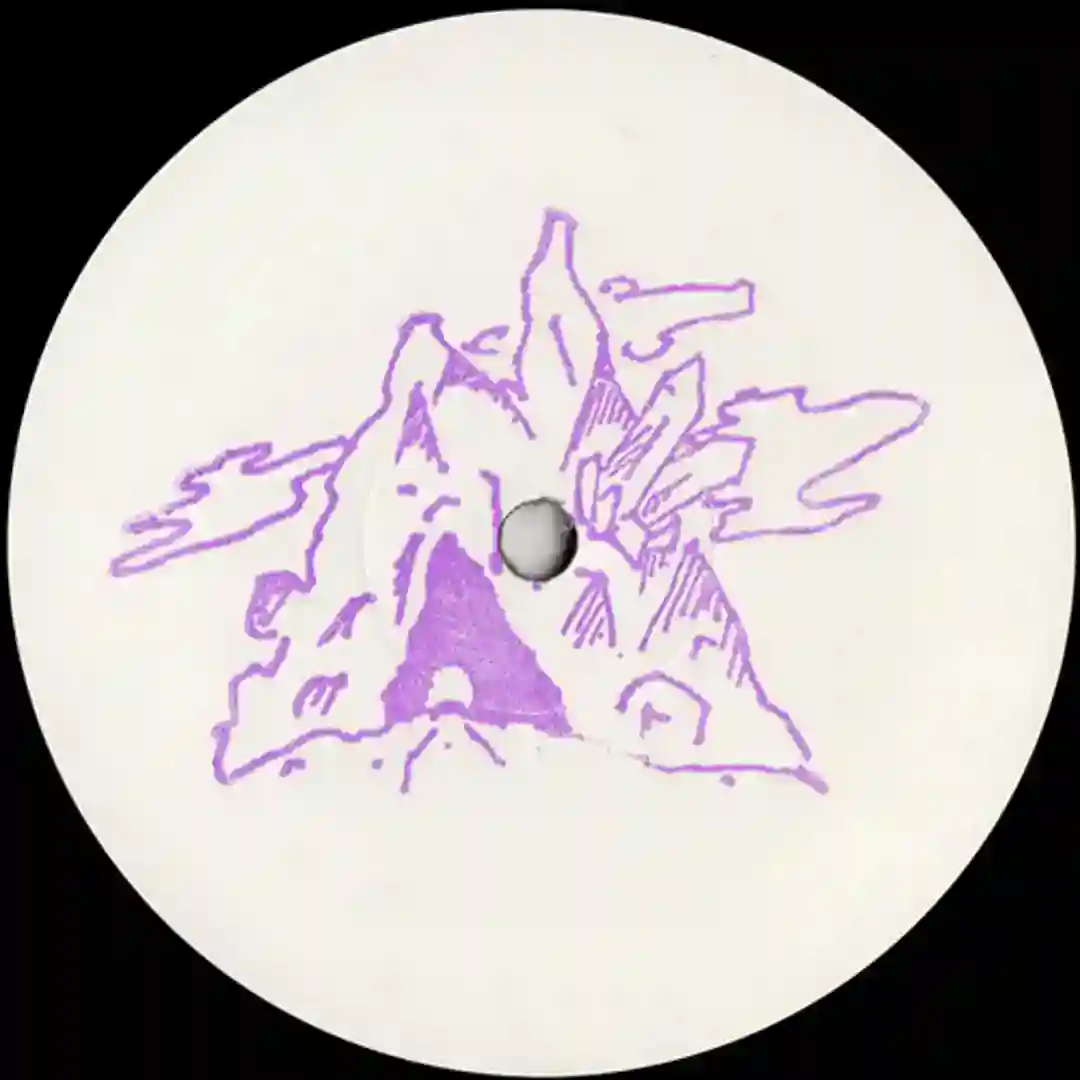Track 4 (Gnork remix) cover