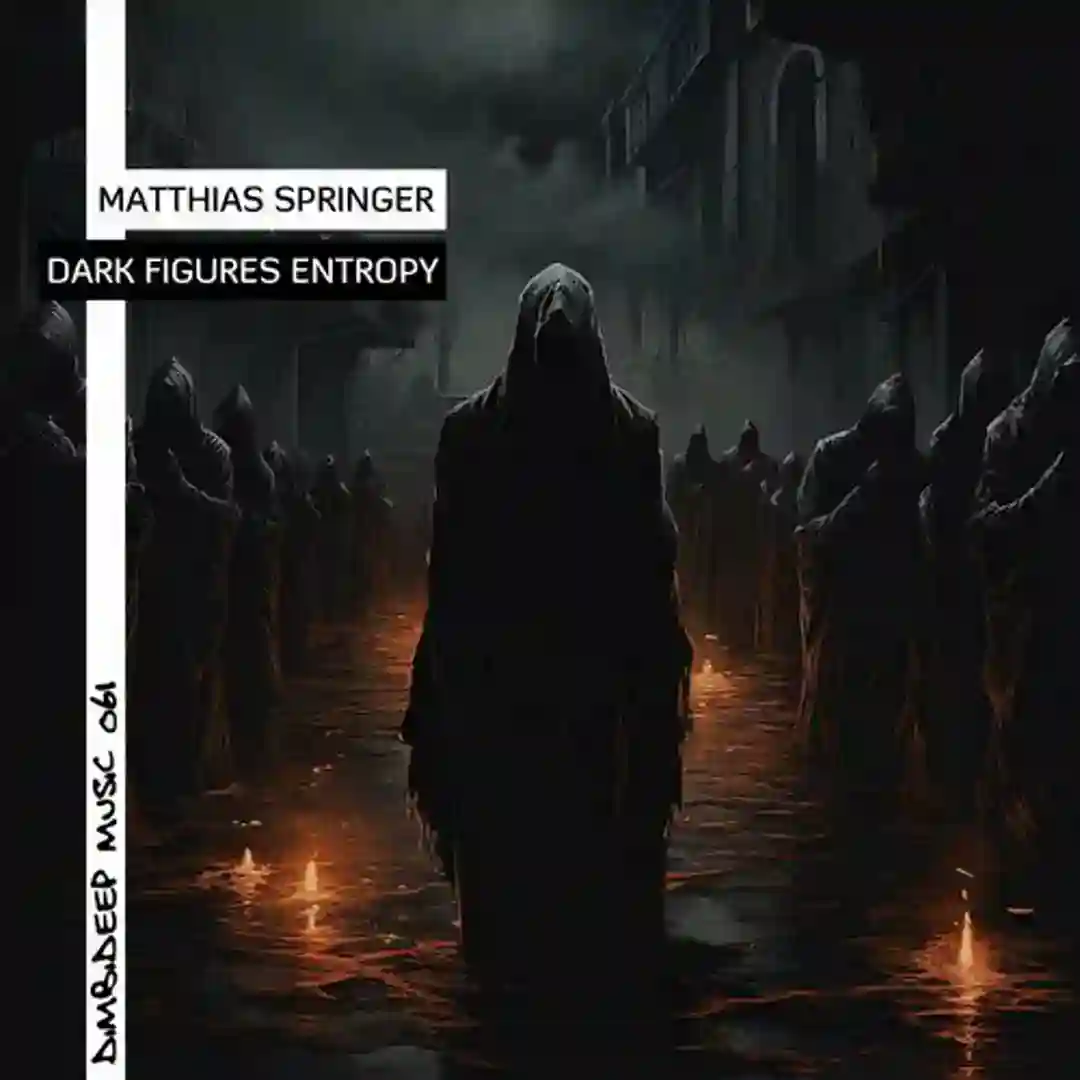 Dark Figures Entropy cover