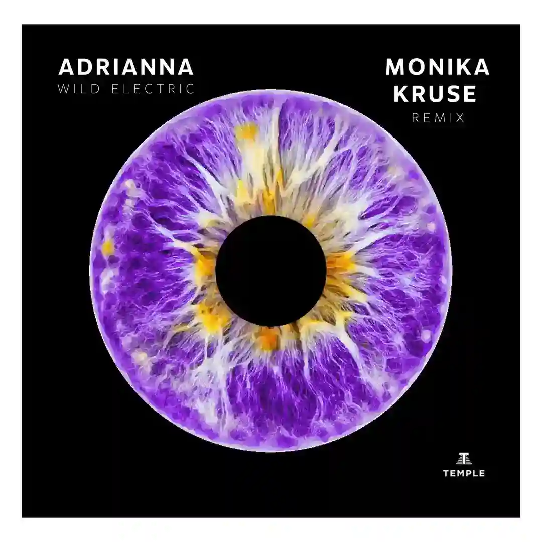 WILD ELECTRIC (Monika Kruse Radio Edit) cover