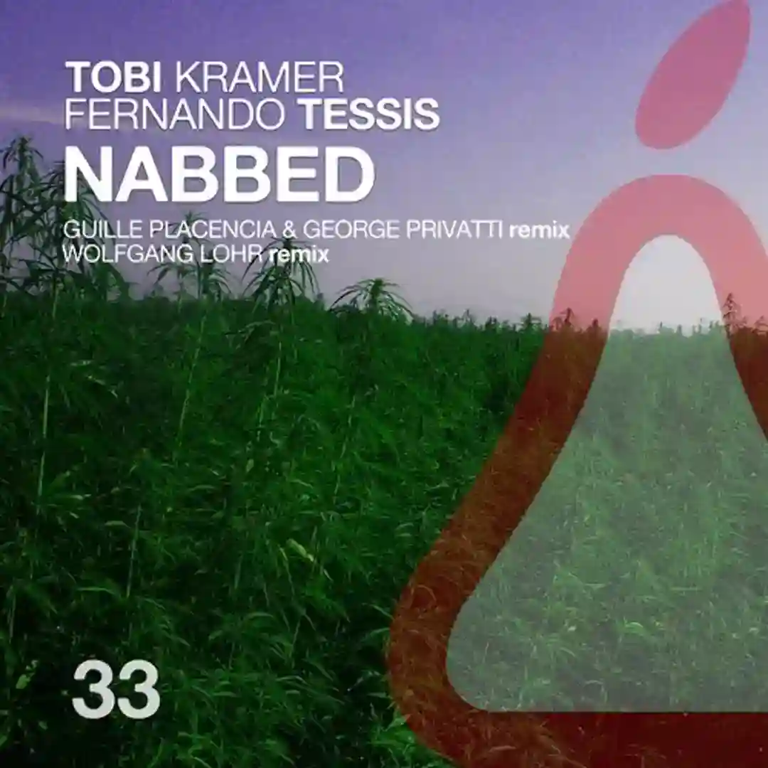 Nabbed (Original Mix) cover