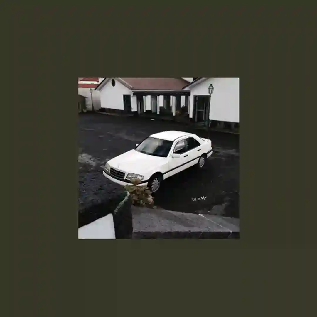 W.O.W. cover
