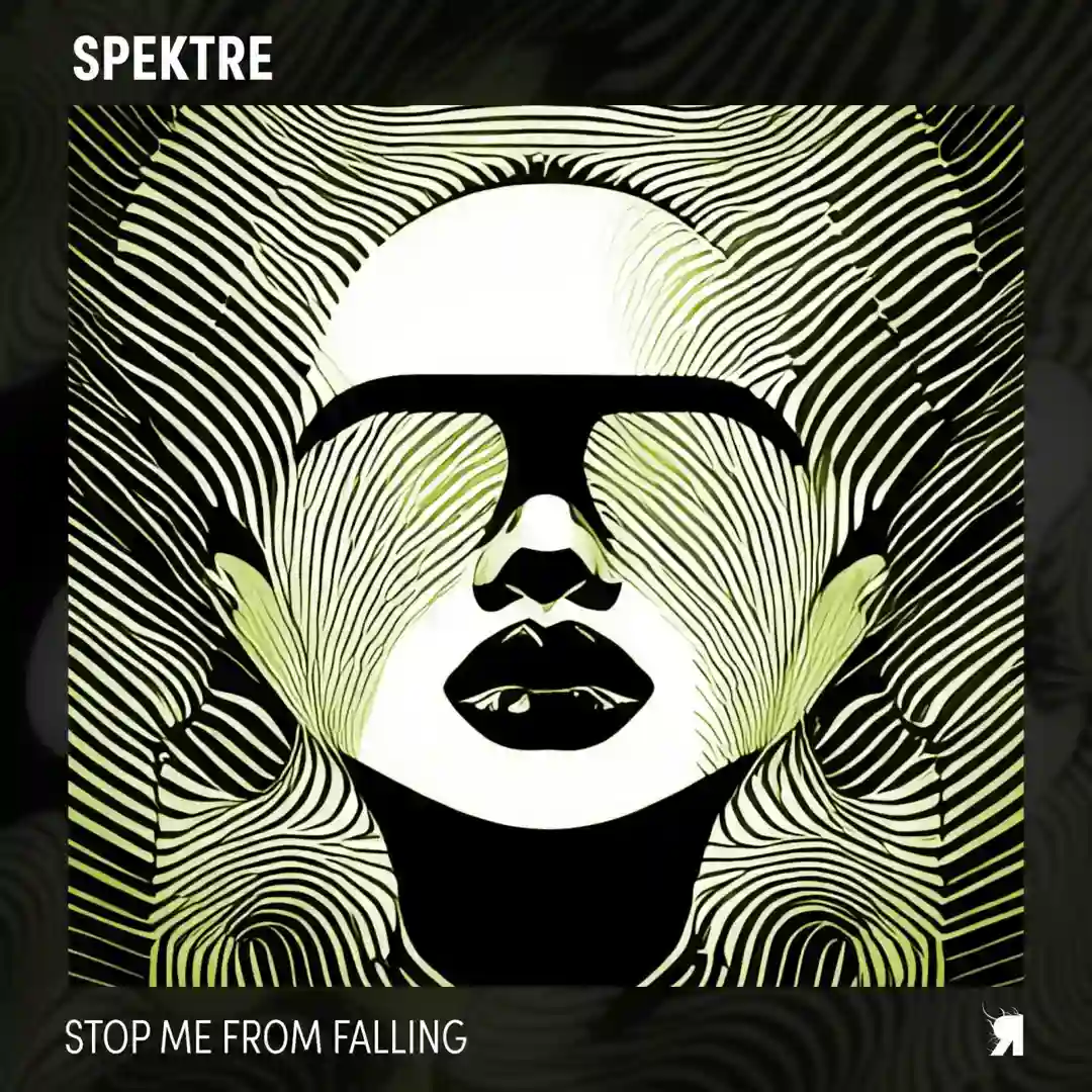 Stop Me From Falling cover