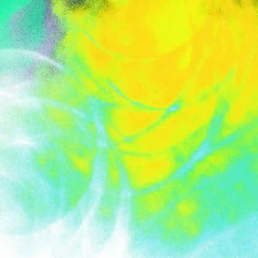 Pulputus cover