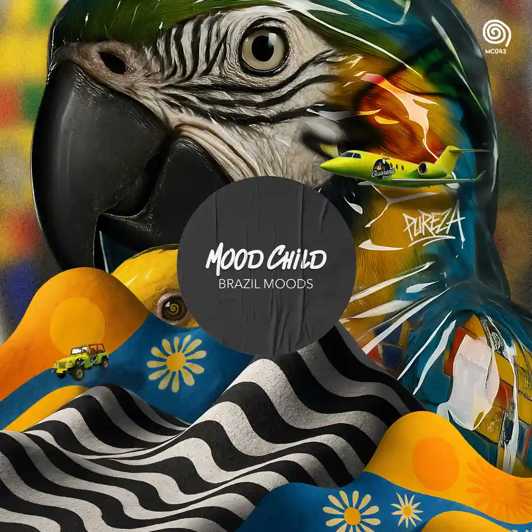 Animando Uma Festa (Original Mix) cover