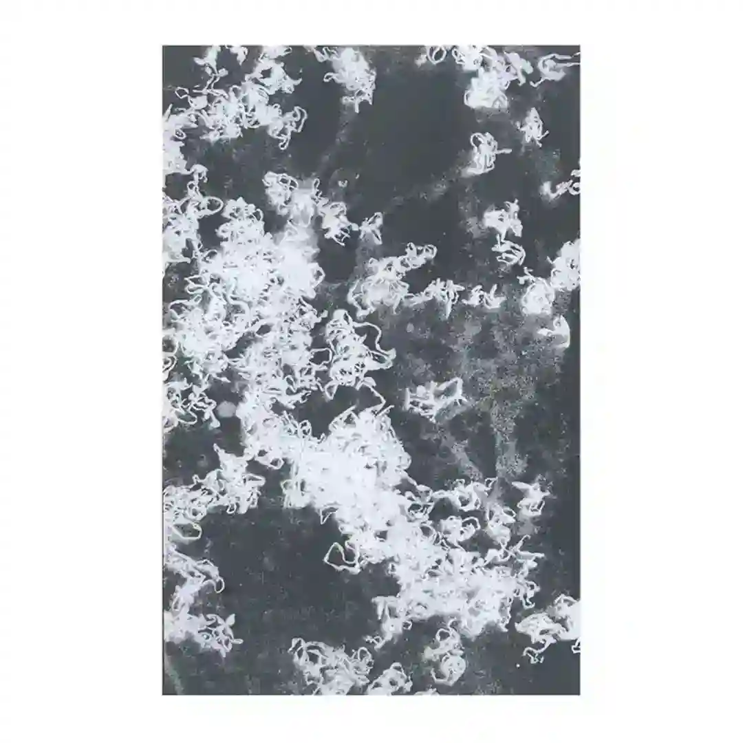E.C.M. cover