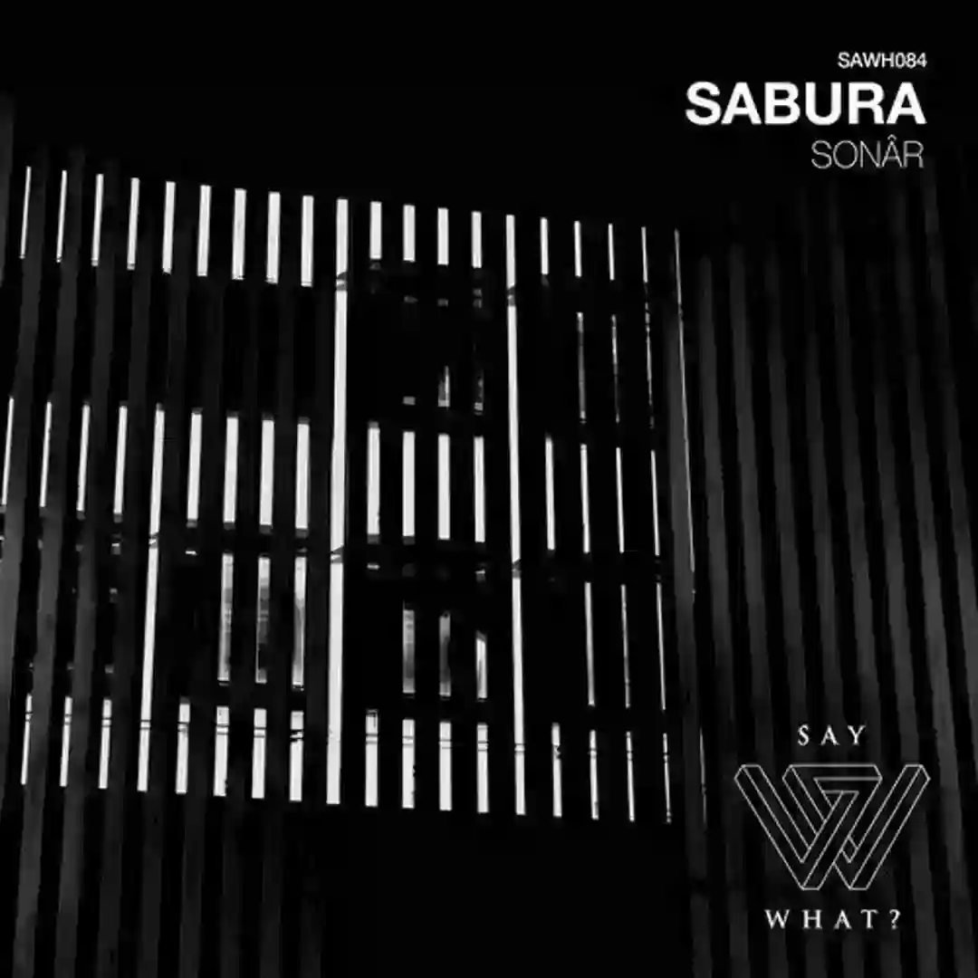 Future Chaos (Original Mix) cover