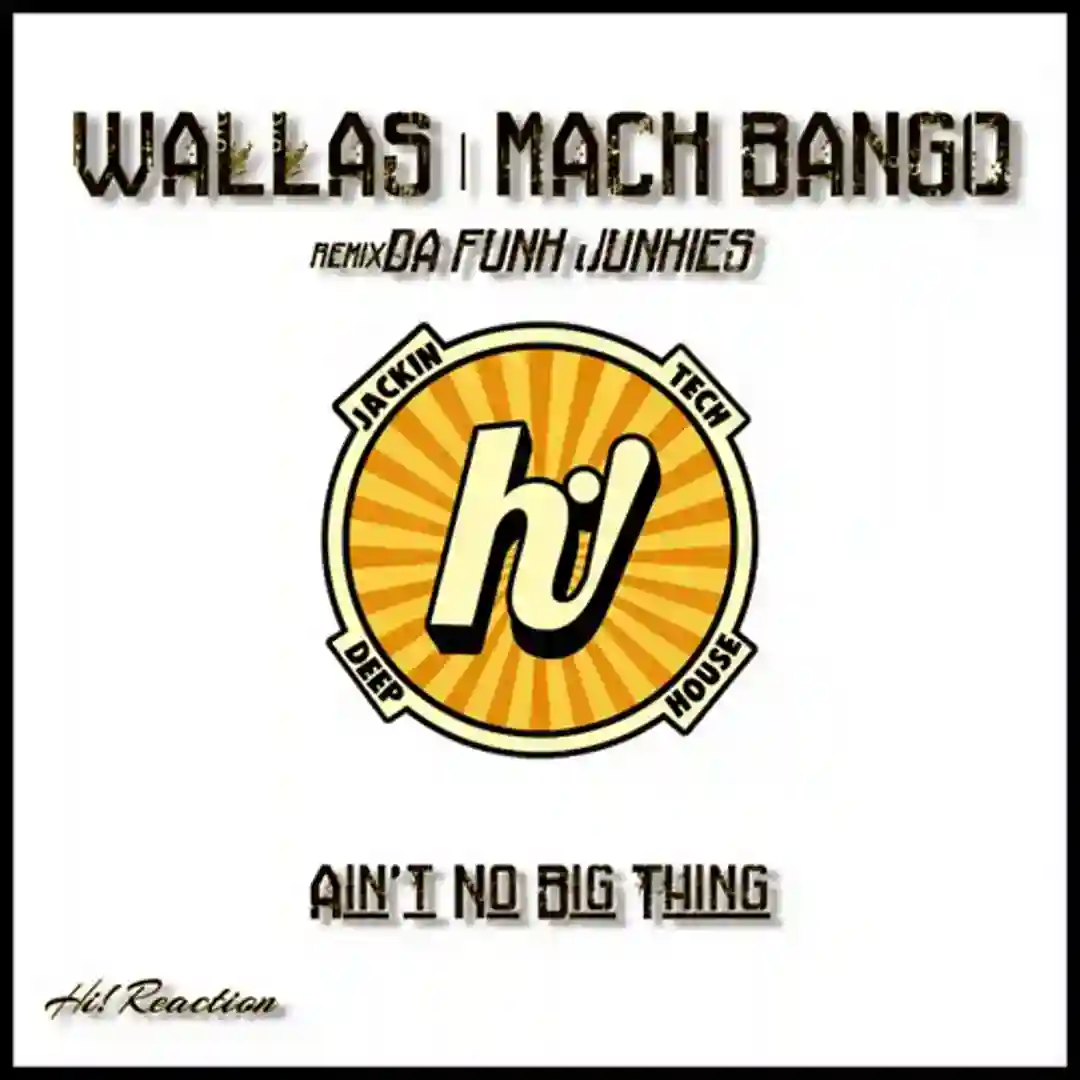 Ain't No Big Thing (Da Funk Junkies Remix) cover