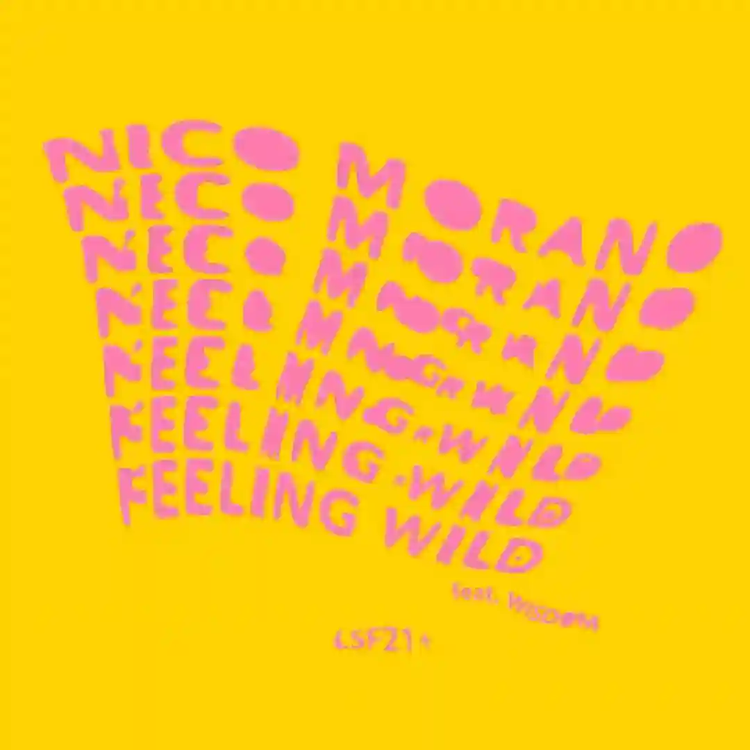 Feeling Wild (Instrumental) cover