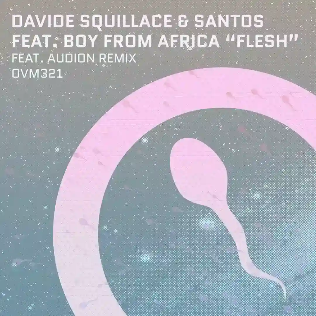 Flesh (Audion Remix) cover