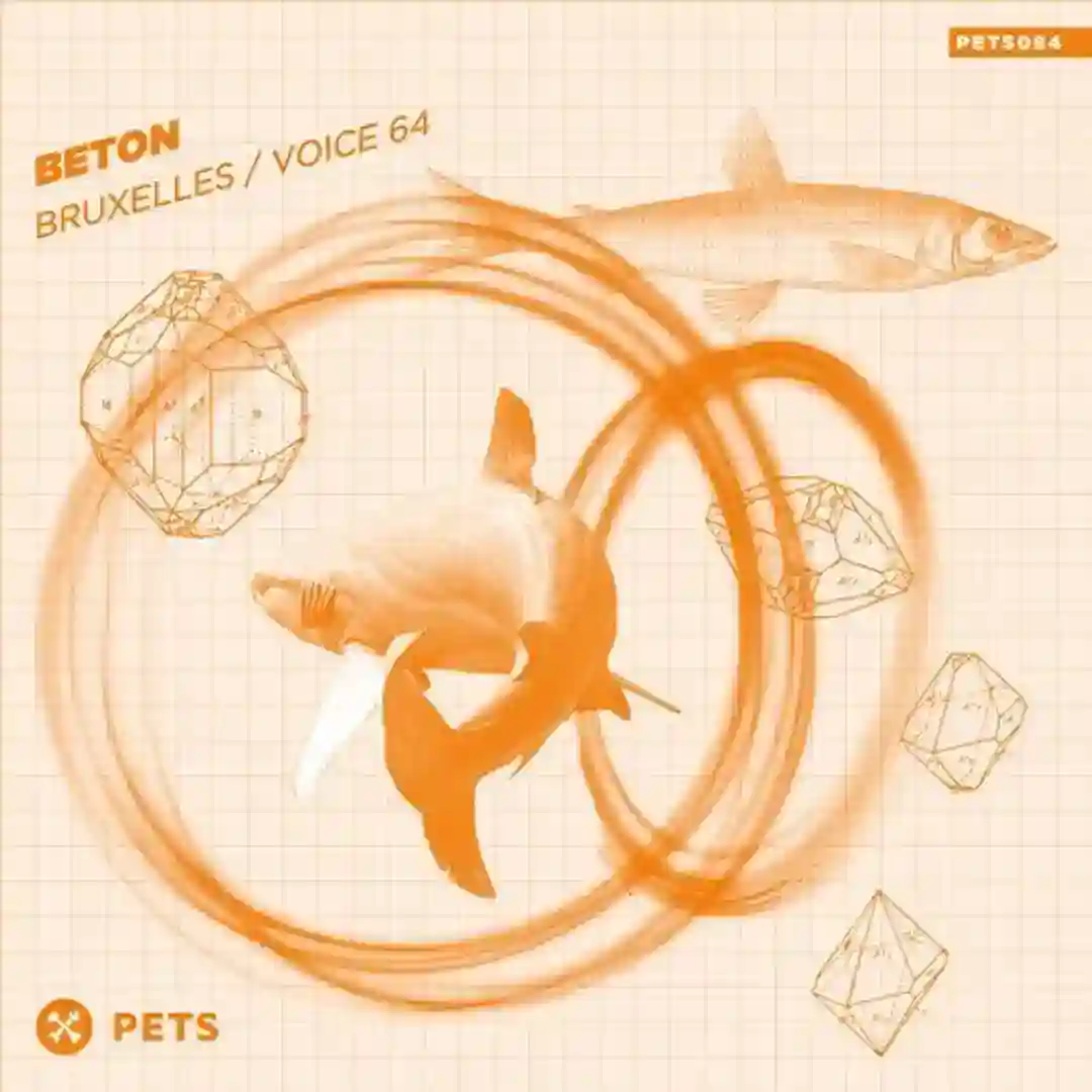 Bruxelles / Voice 64 cover