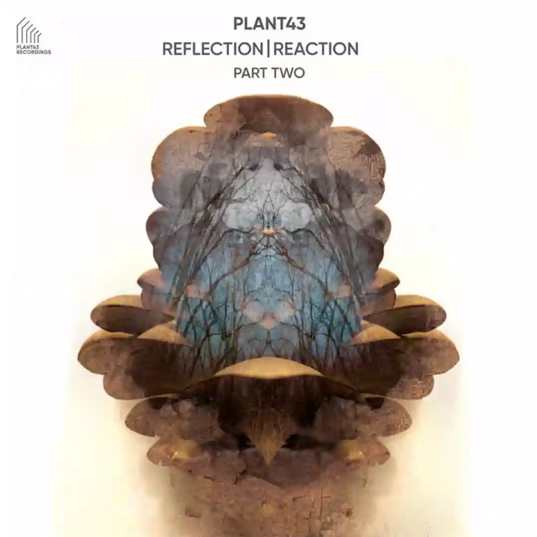 Eccentric Elliptical Orbit (Original Mix) cover