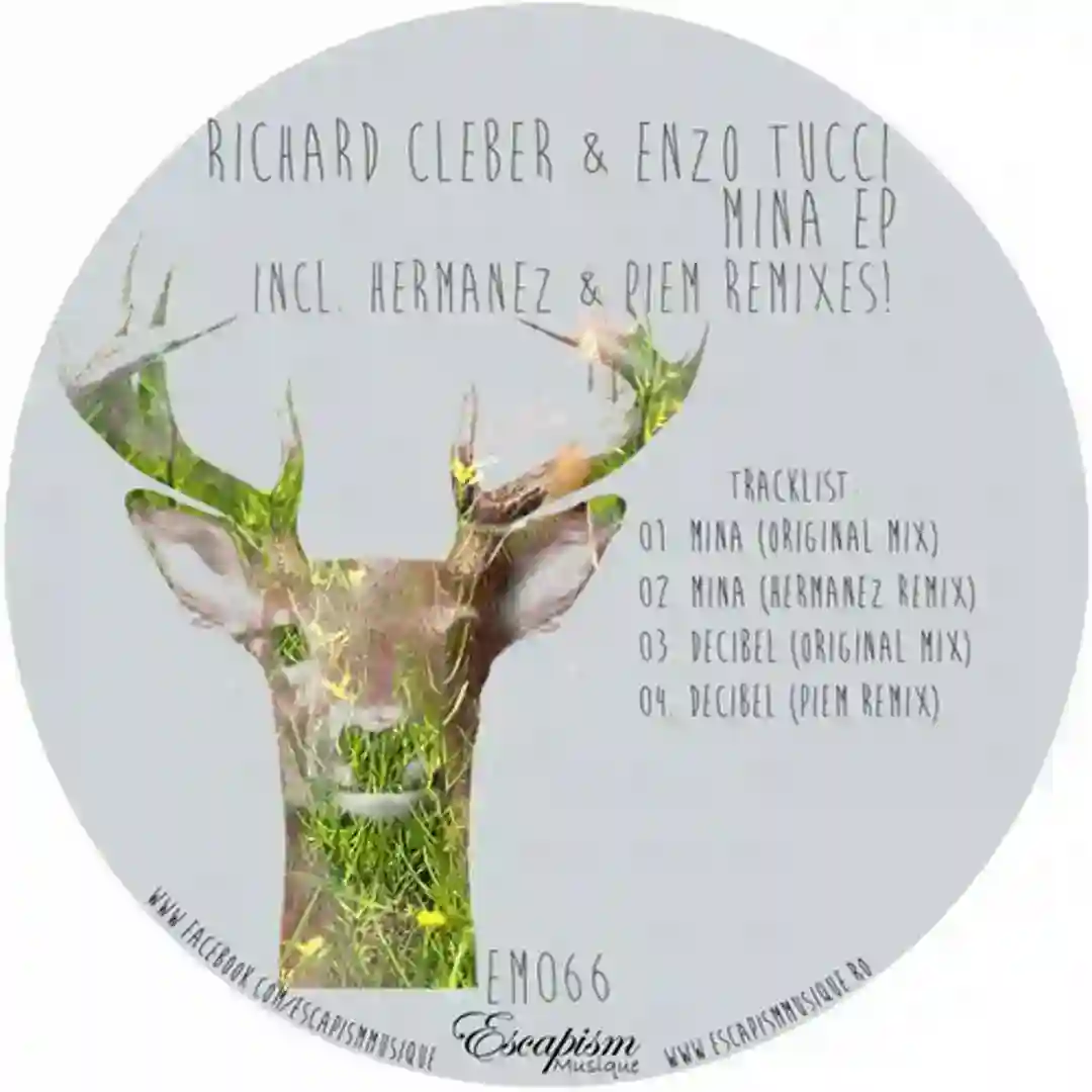 Mina (Hermanez Remix) cover
