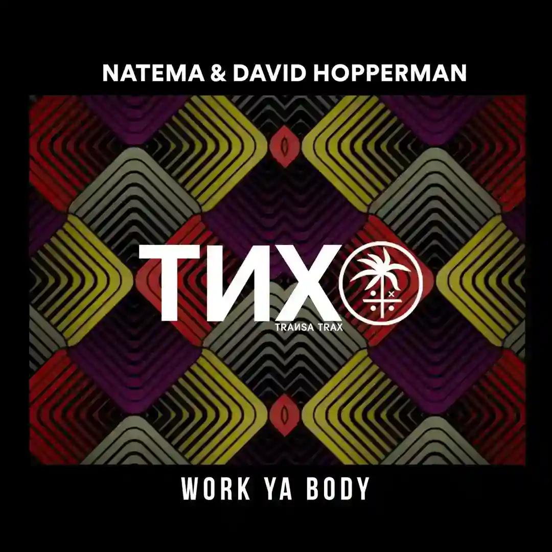 Work Ya Body (Extended Mix) cover