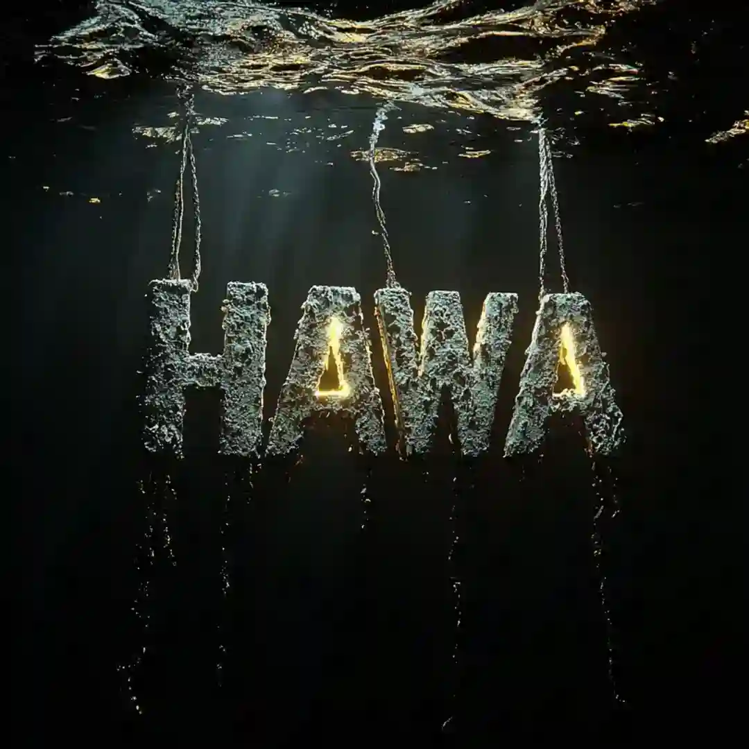 Hawa (Original Mix) cover