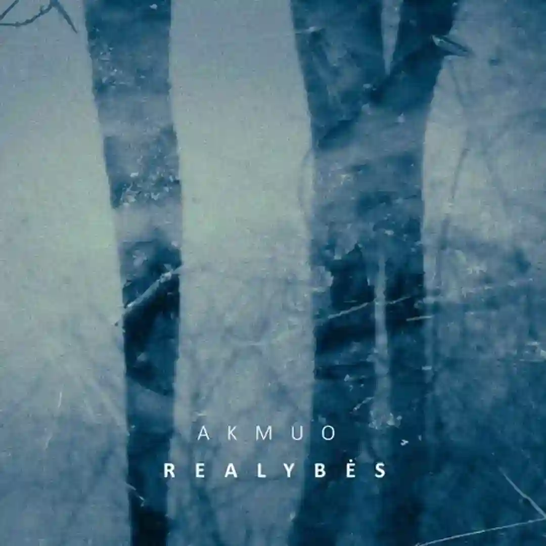 Realybė 4 cover