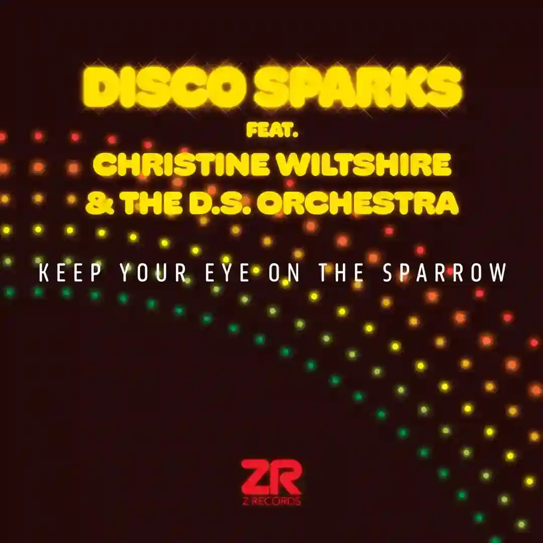 Keep Your Eye On The Sparrow (Extended Mix) cover