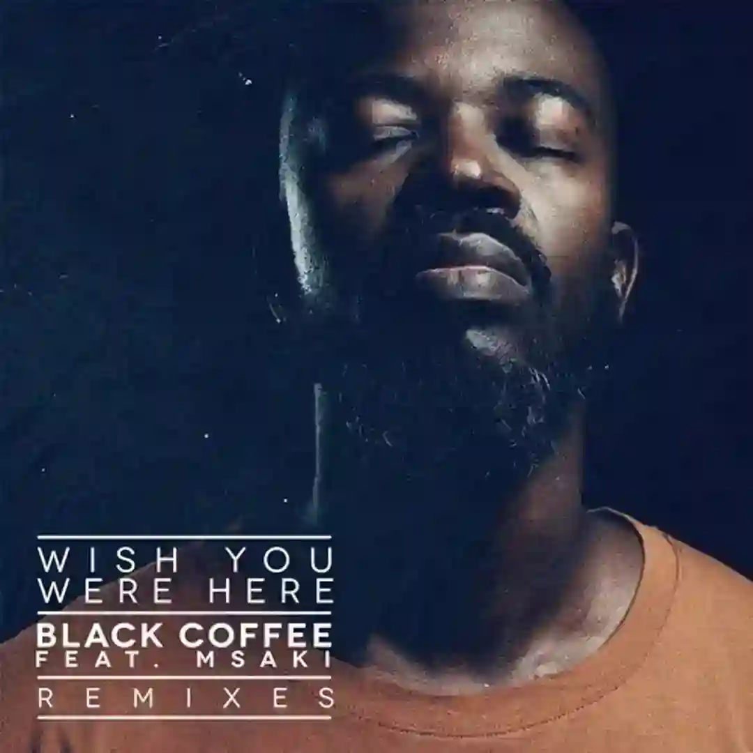 Wish You Were Here feat. Msaki (Blond-ish Morning Remix) cover