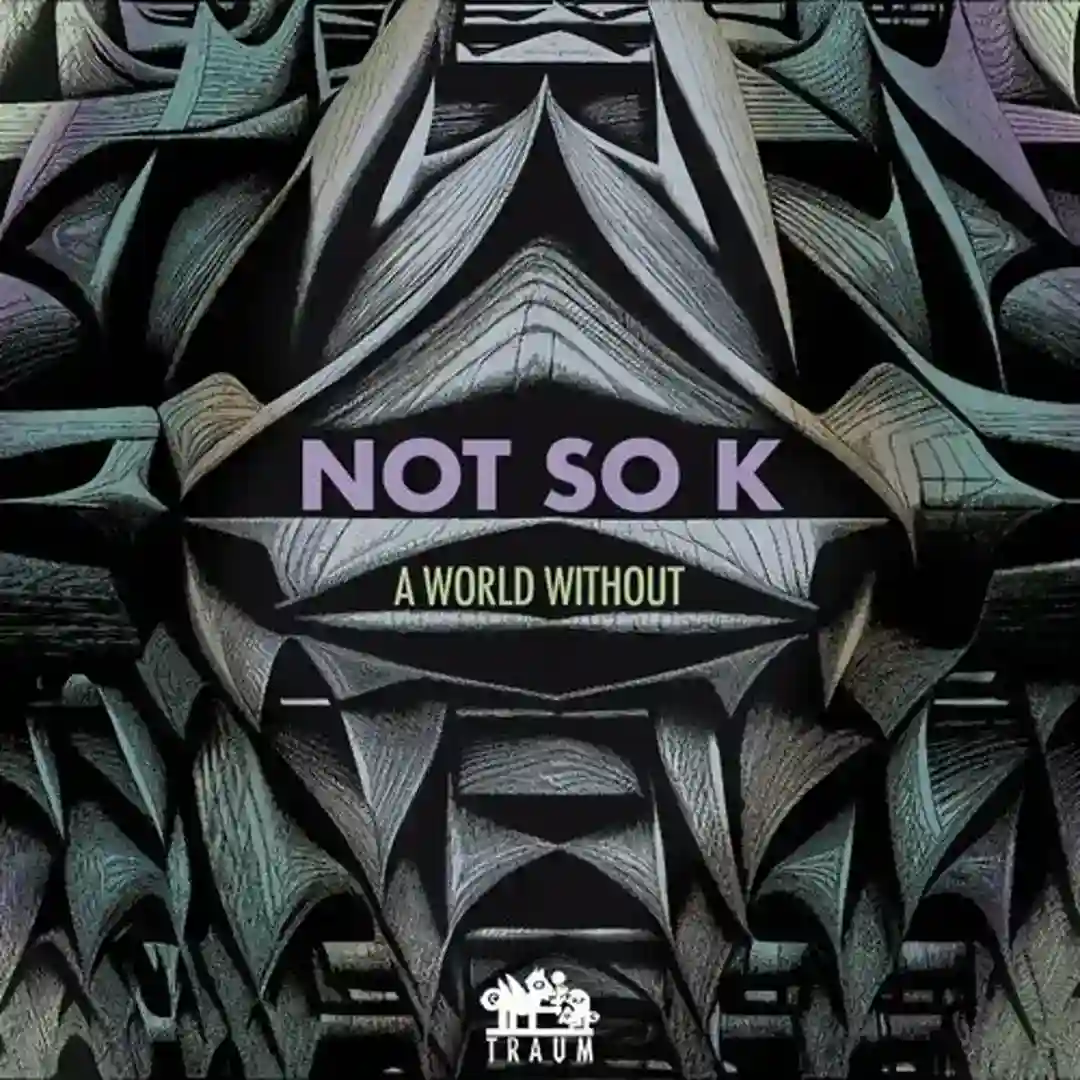 A World Without cover