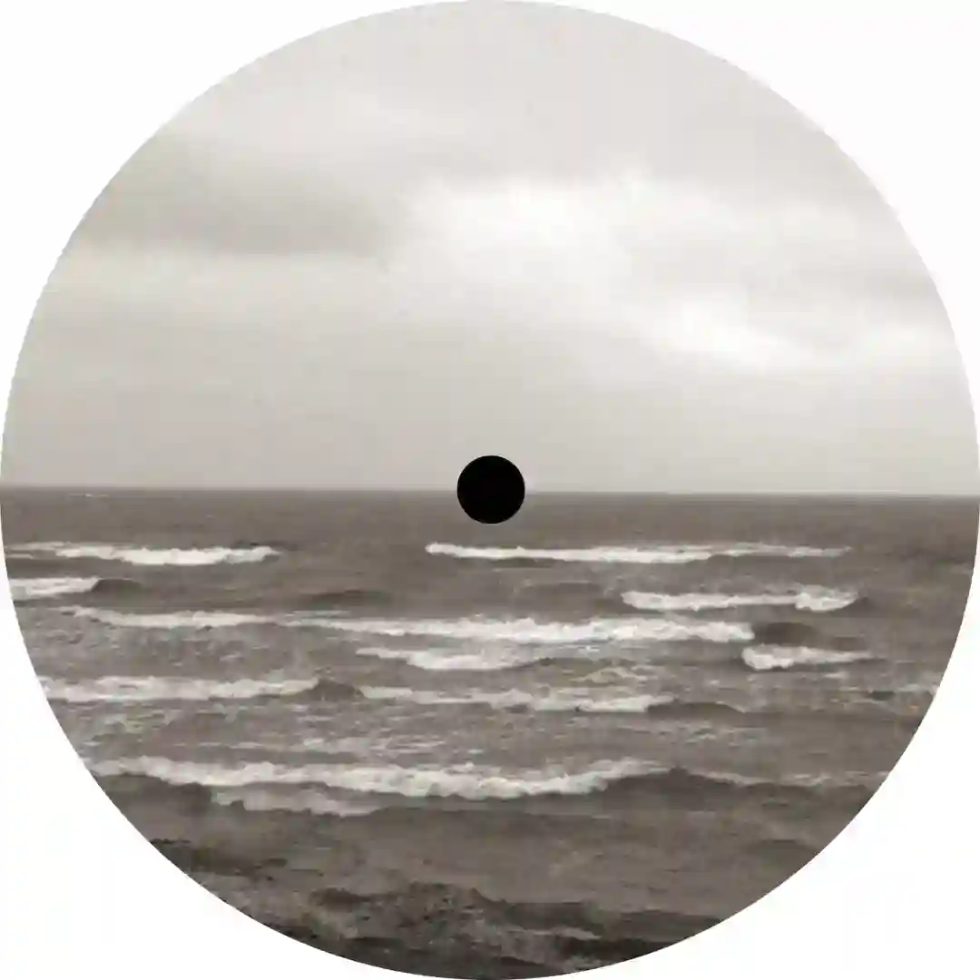 Evenings cover