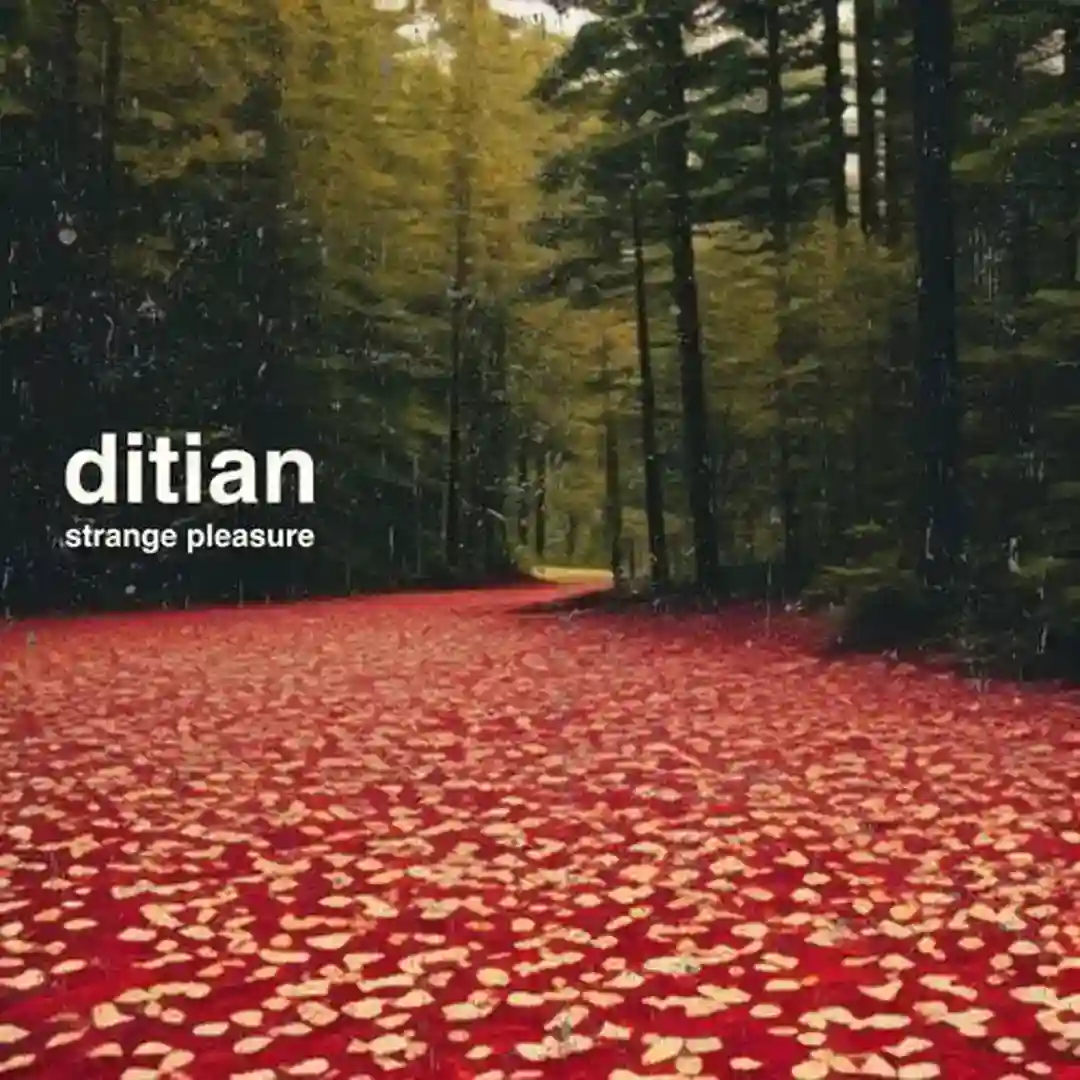 Strange Pleasure cover