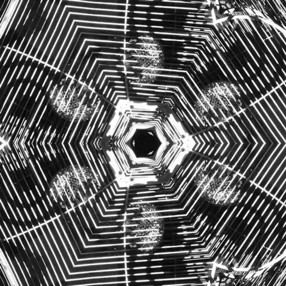 Psychosomatic (Original Mix) cover