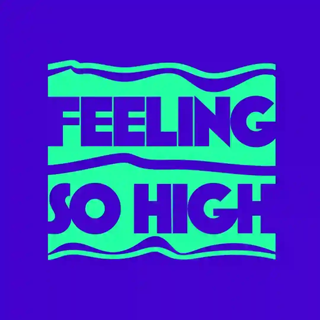 Feeling So High cover