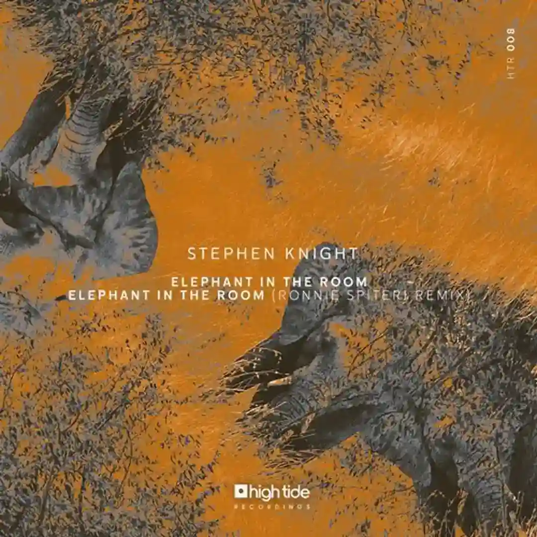 Elephant in the Room (Ronnie Spiteri Mix) cover