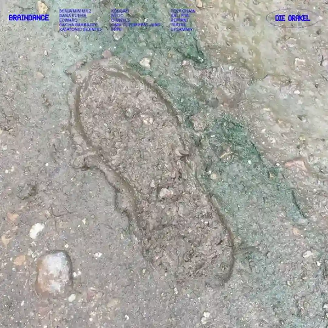 Biota (Original) cover