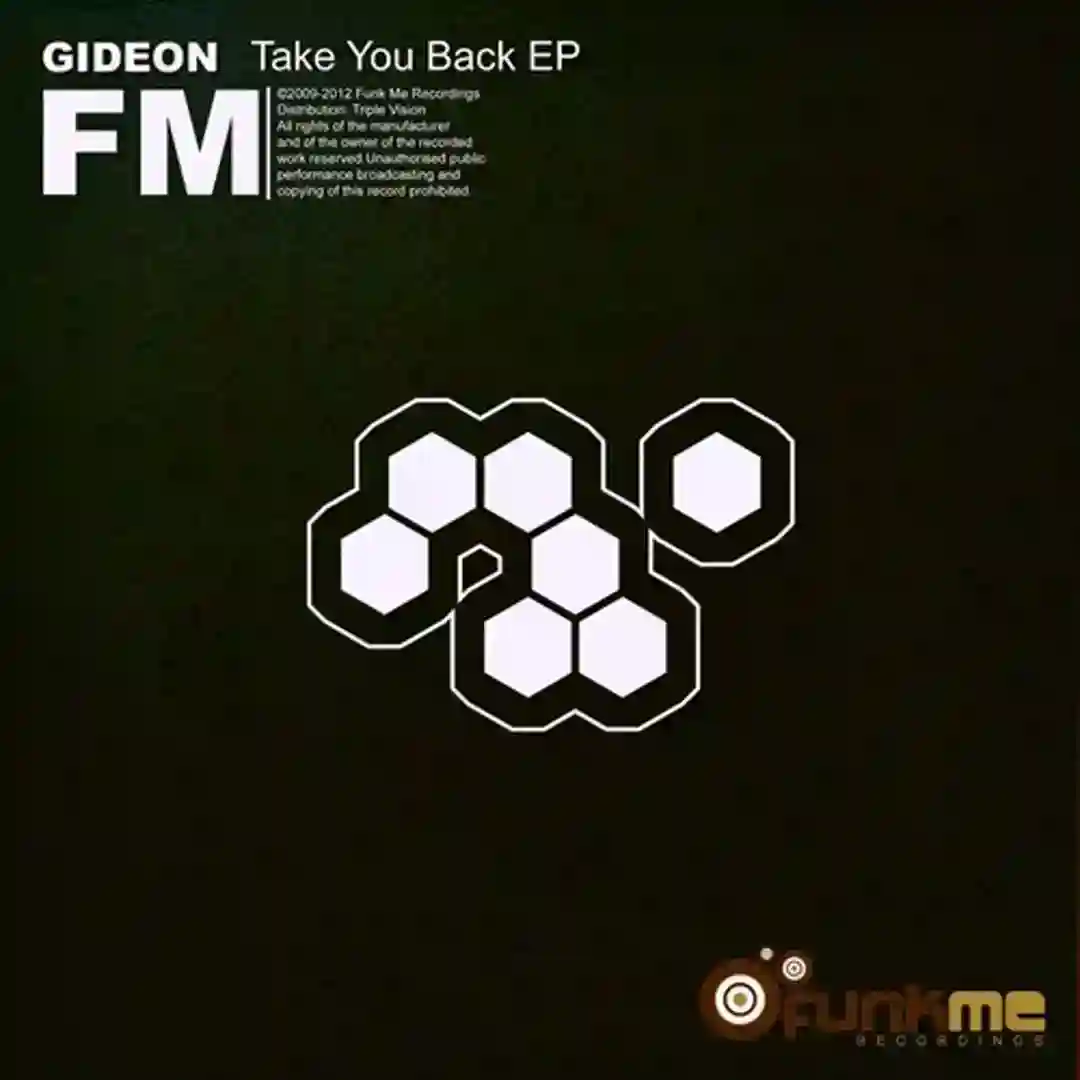 Take You Back (Original Mix) cover