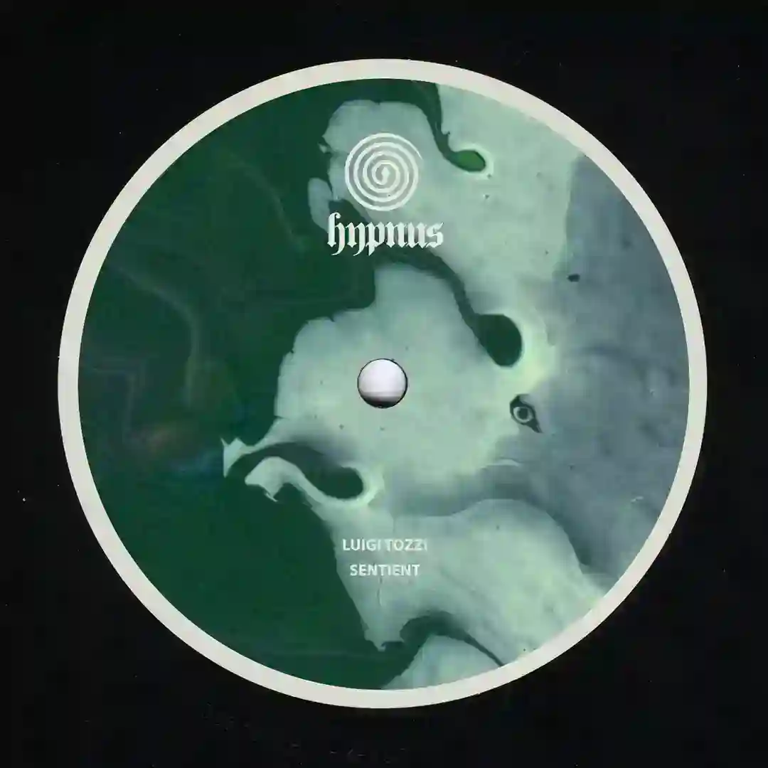 Amphibia (Original Mix) cover