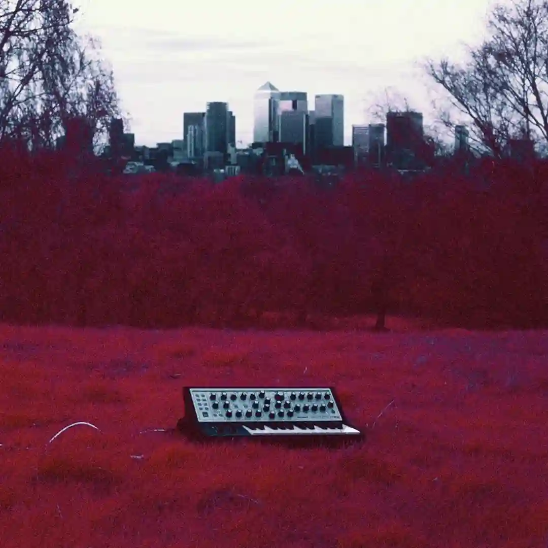 Punk cover