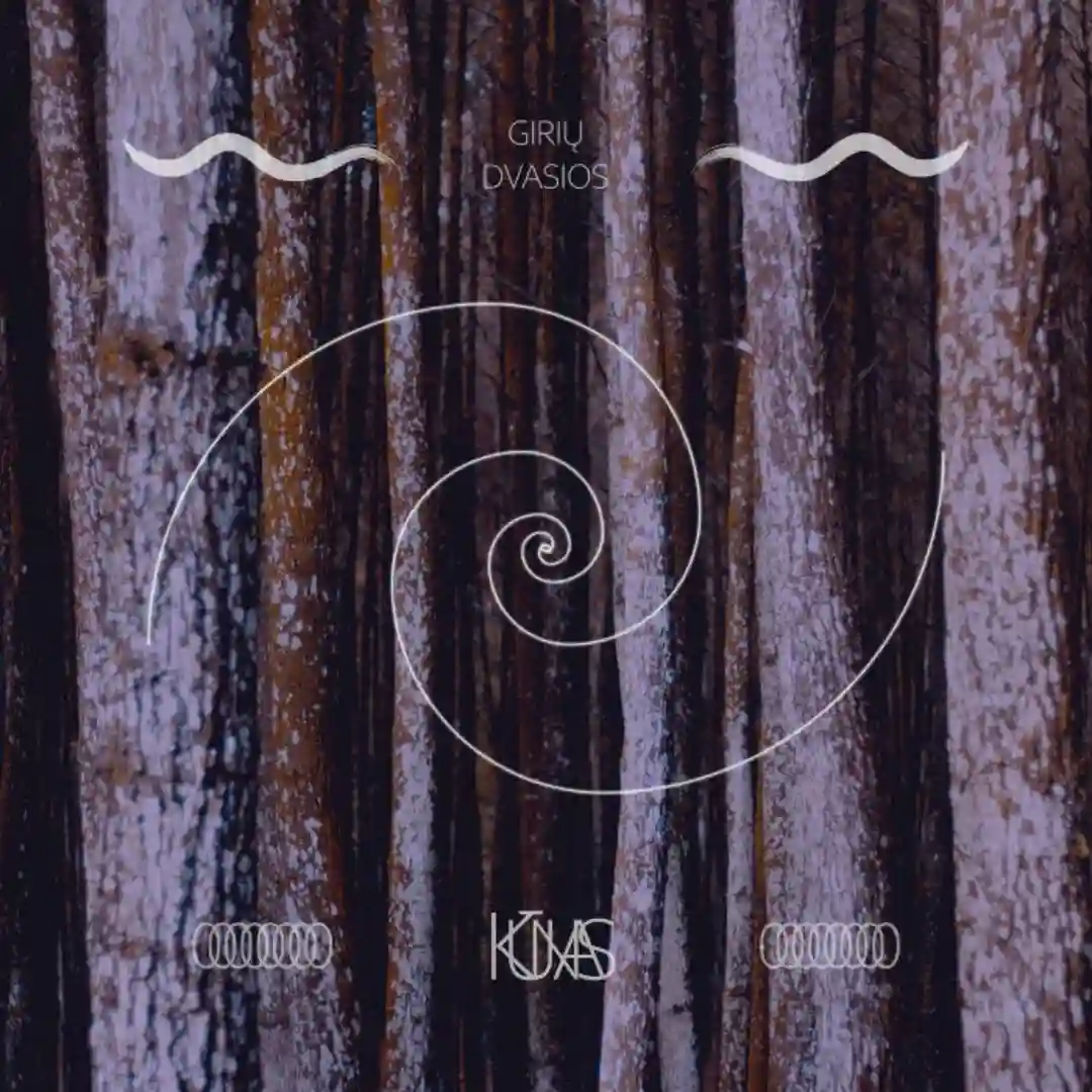 Nežinia (Original Mix) cover