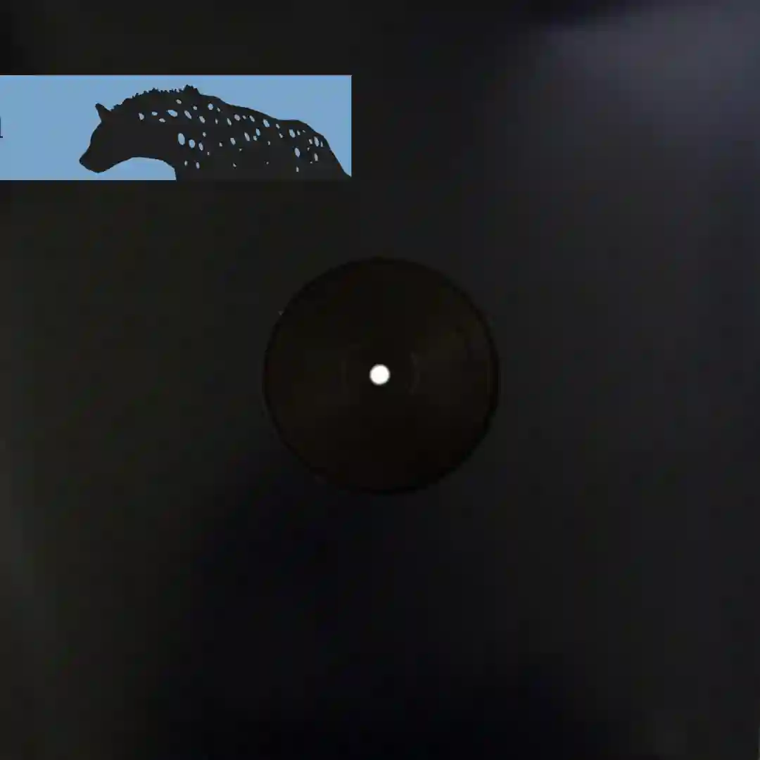 Disturb the beast (Original Mix) cover
