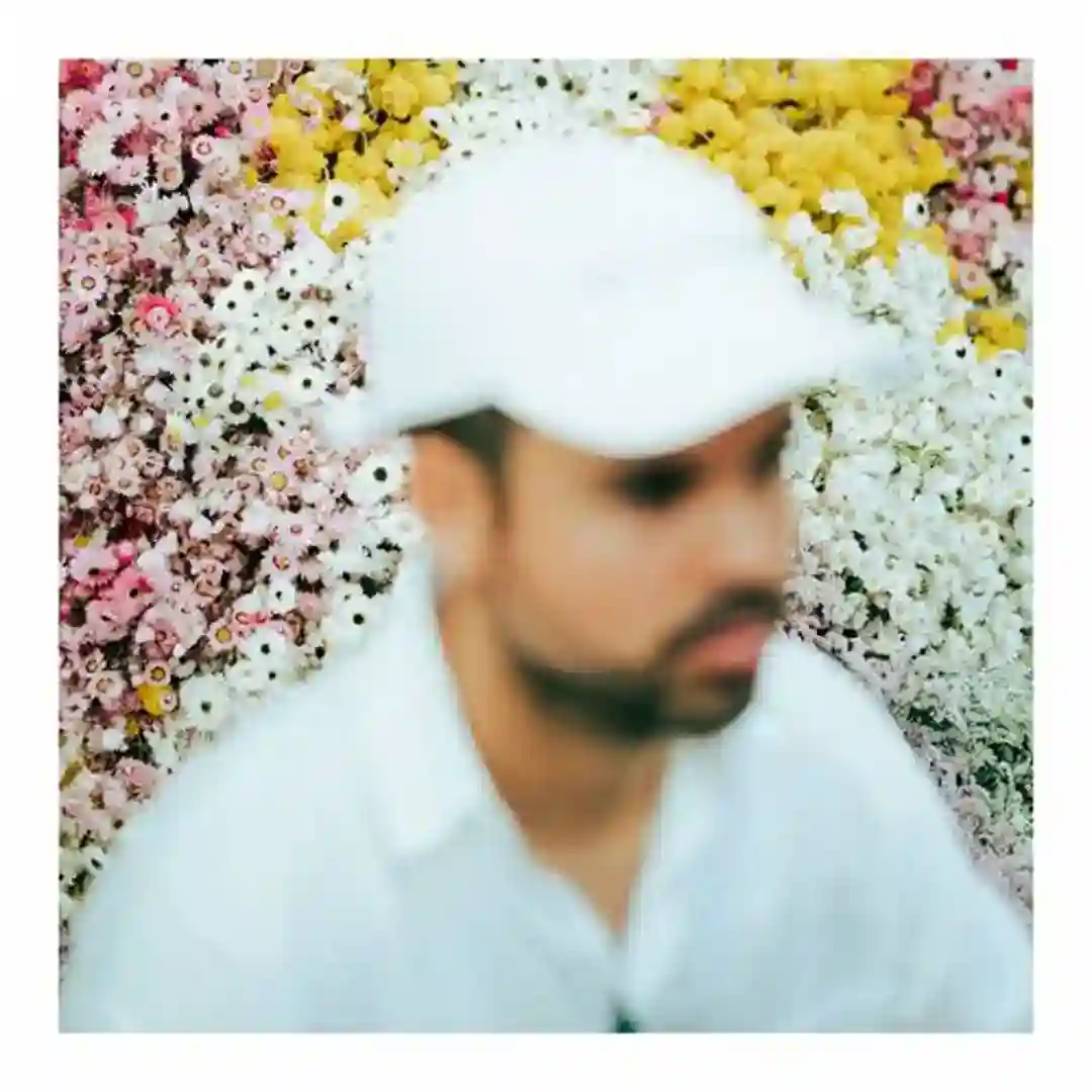 Sanfordi cover