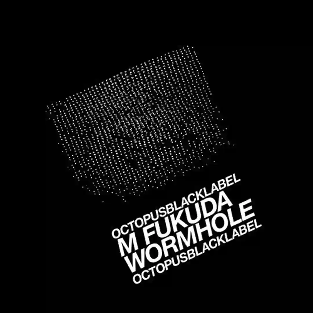 Wormhole cover