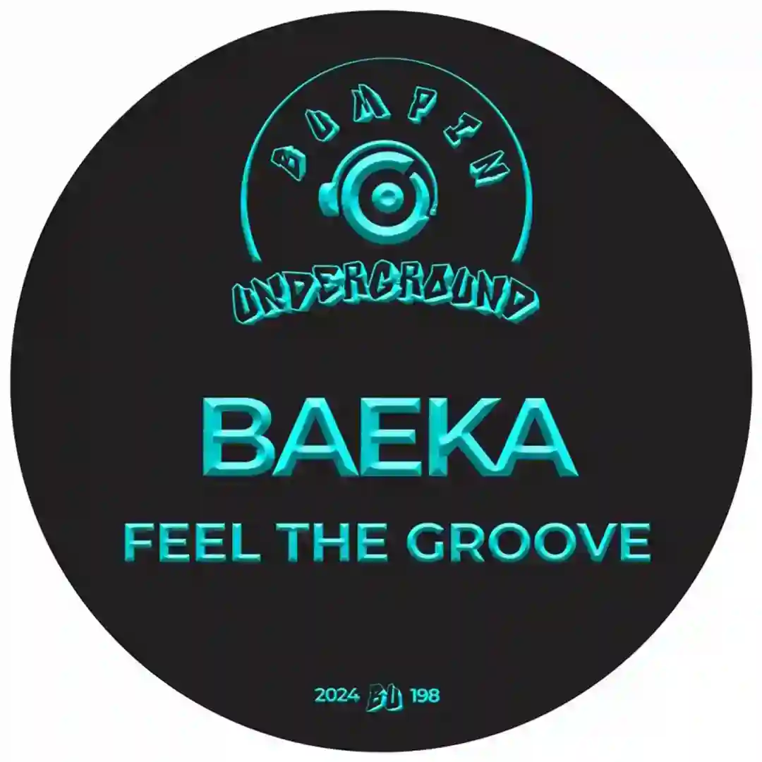 Feel The Groove cover