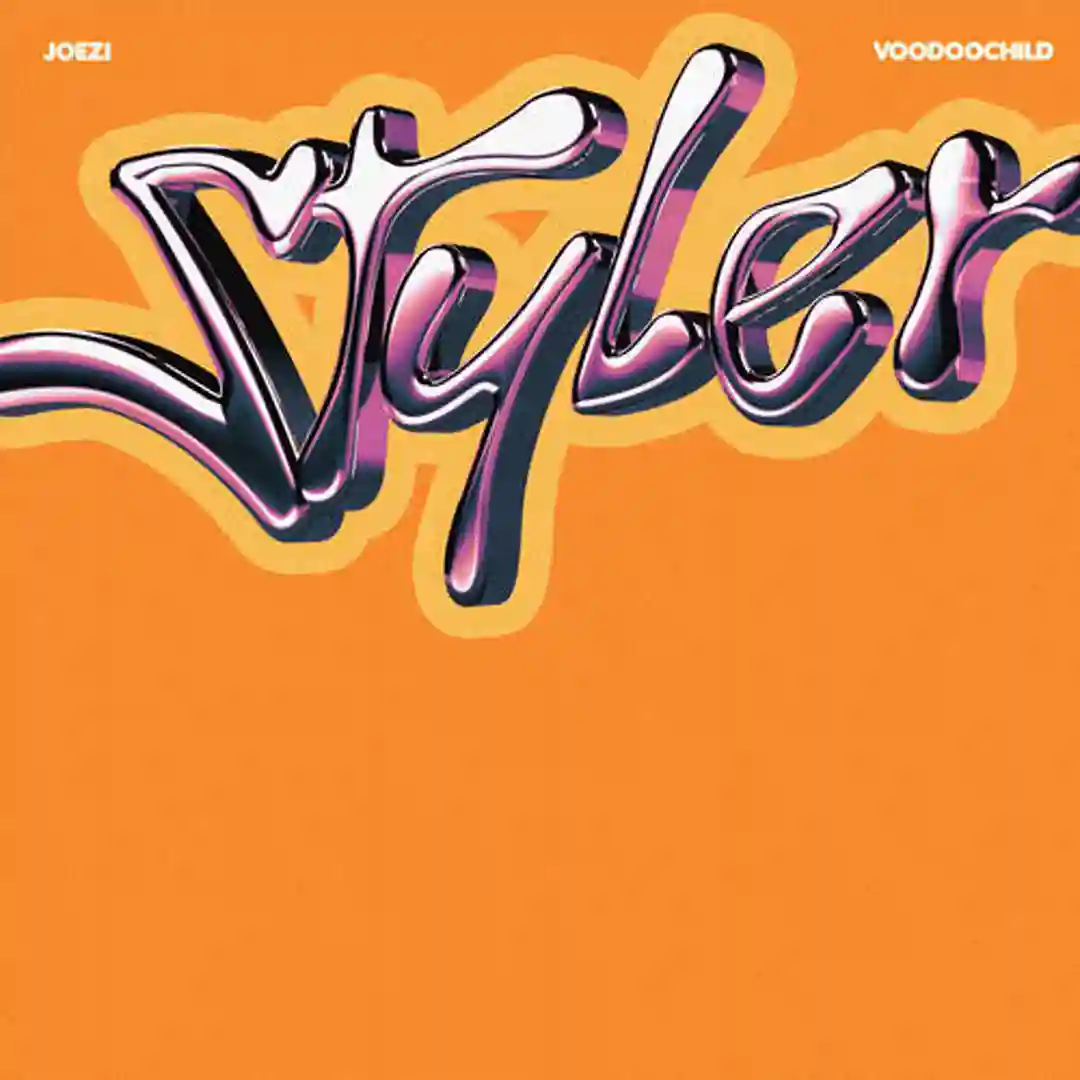 Styler (Extended Mix) cover