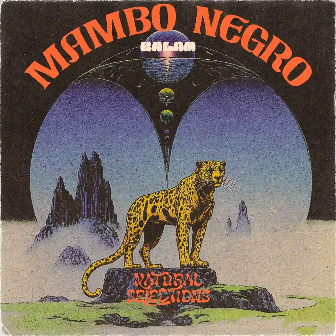 Mambo Negro (Roy Heyman Remix) cover