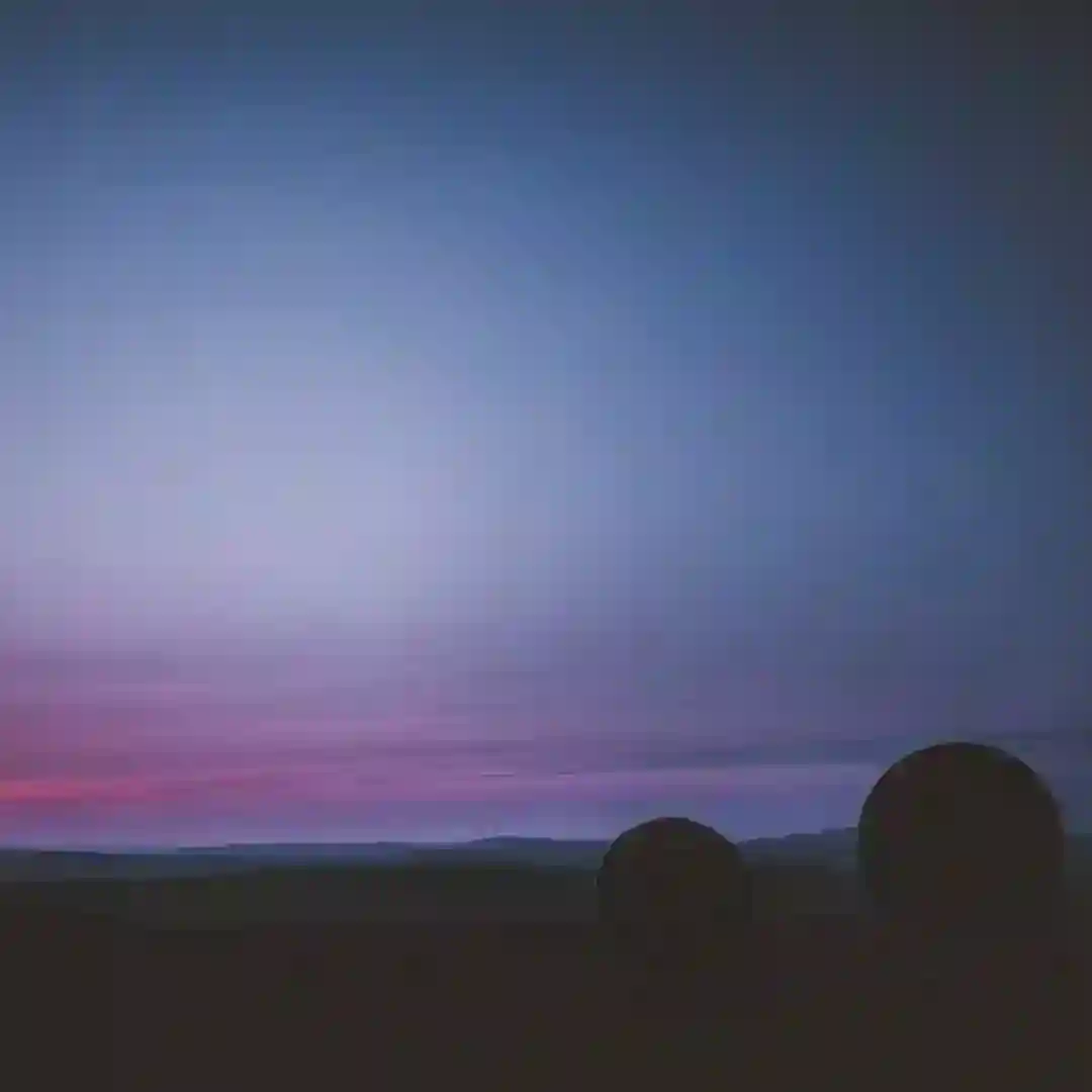 The Remnants cover