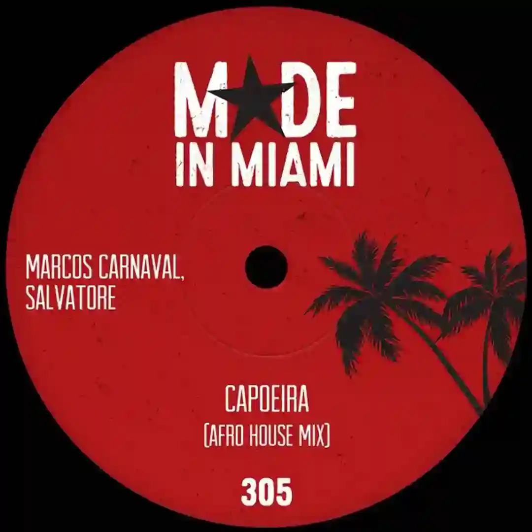 Capoeira (Afro House Mix) cover