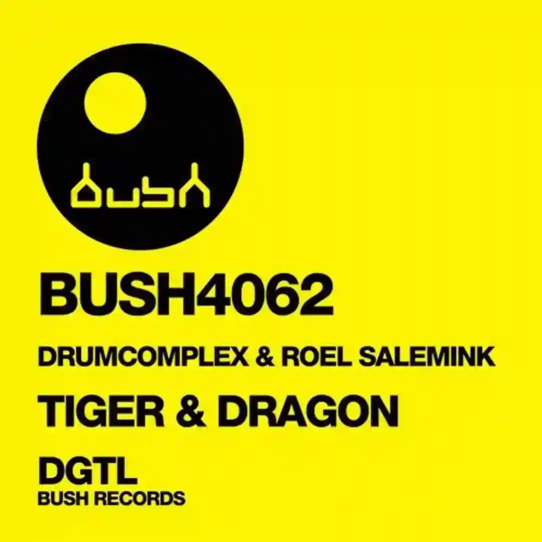 Tiger & Dragon cover