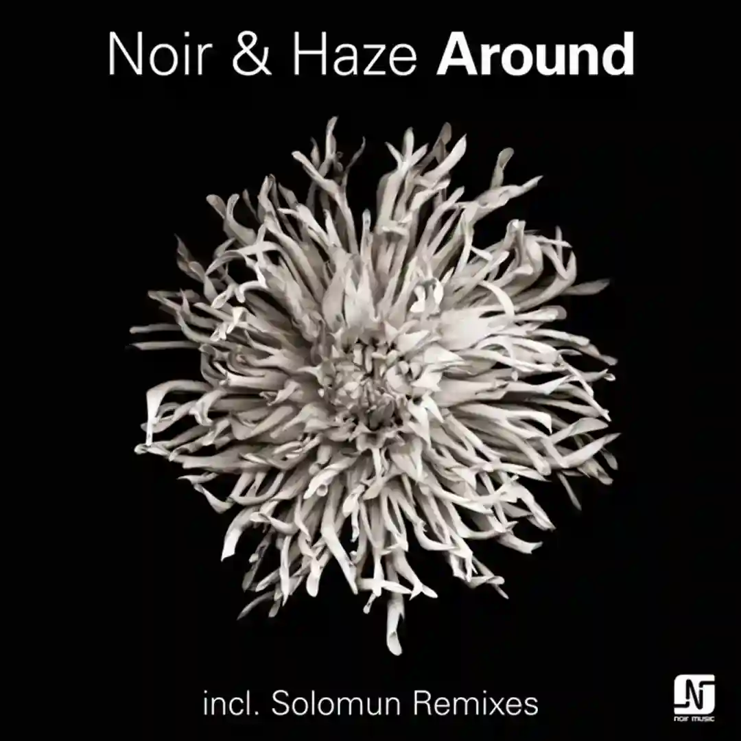 Around (Solomun Vox Remix) cover