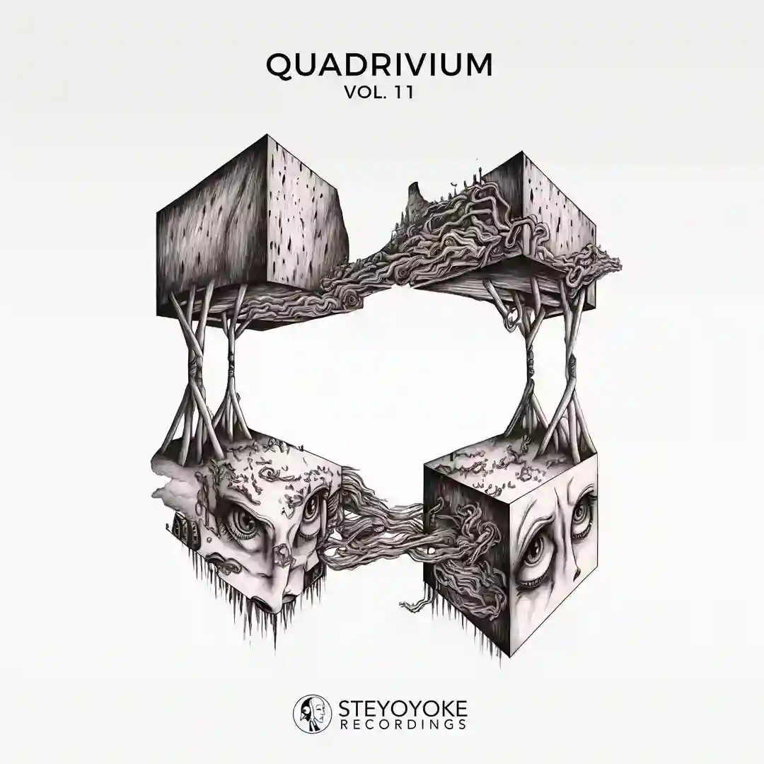 Quadrivium, Vol. 11 cover