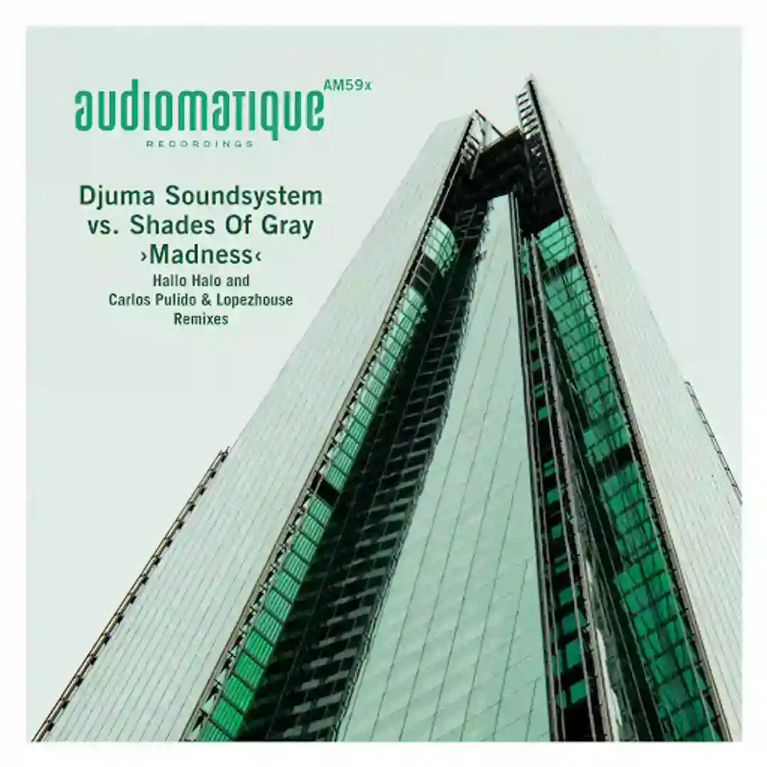 Madness (Hallo Halo and Carlos Pulido & Lopezhouse Remixes) cover
