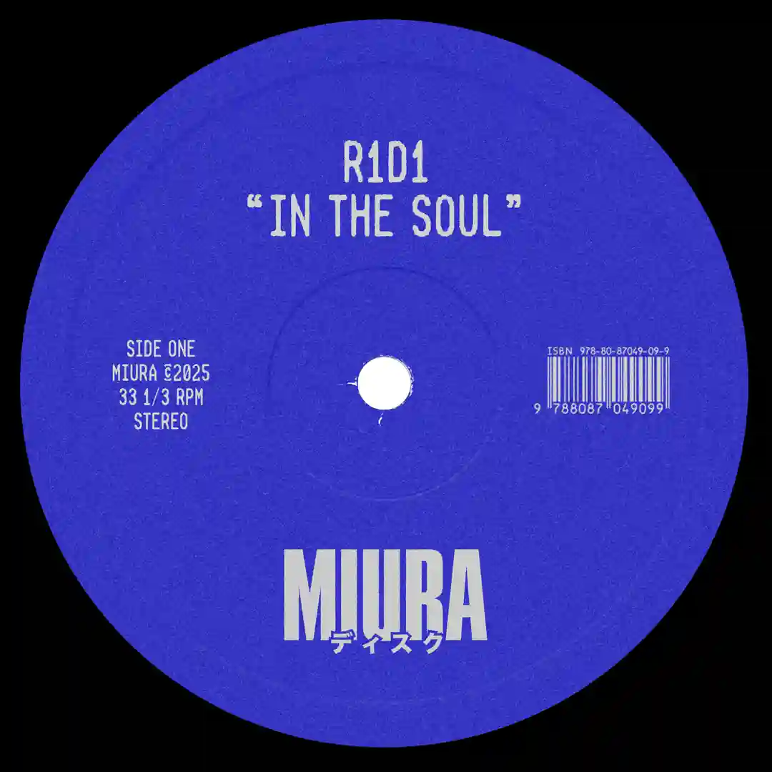 In The Soul (Original Mix) cover