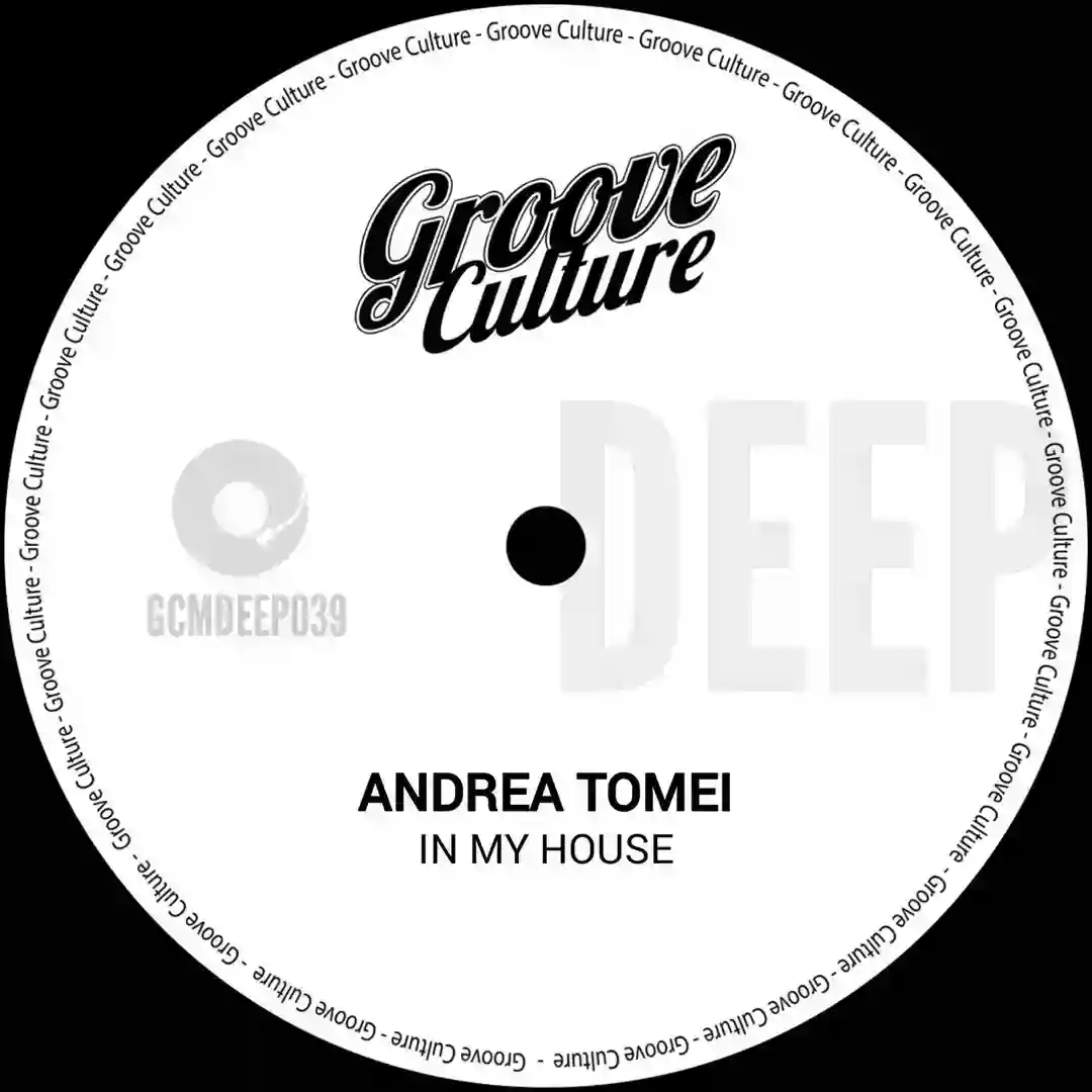 In My House (Extended Mix) cover
