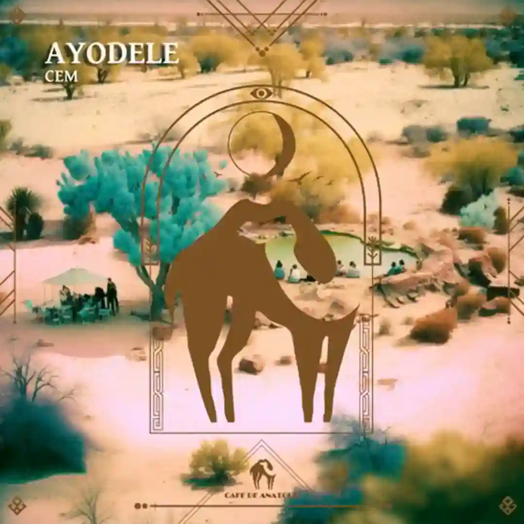 Ayodele (Original Mix) cover