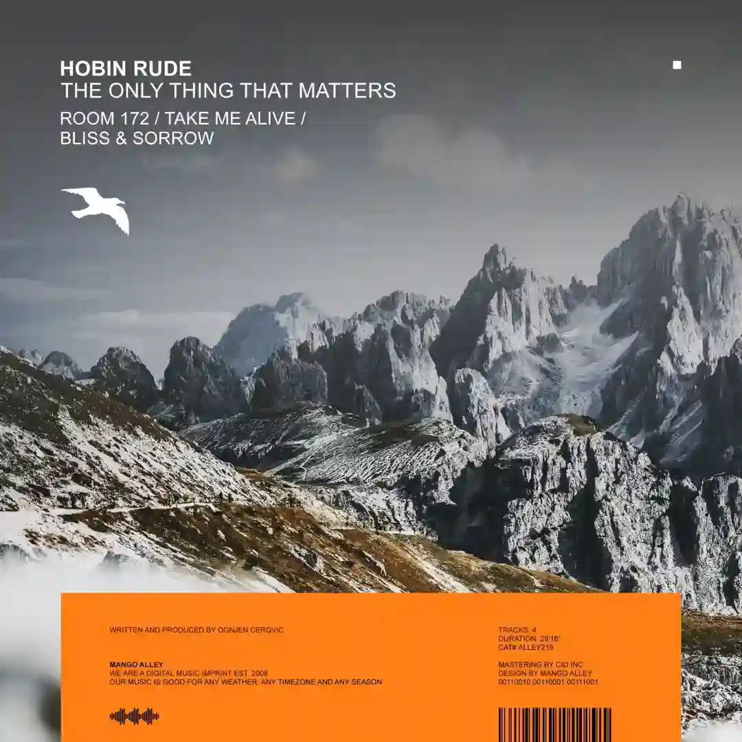 The Only Thing That Matters (Original Mix) cover